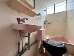 Pandan Valley (D21), Condominium #554764351